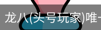 龙八(头号玩家)唯一官方网站